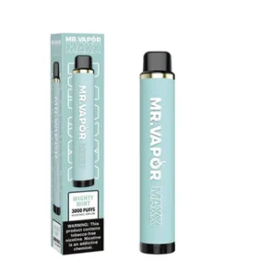 MR. VAPOR MAXX 3000 PUFFS-MIGHTY MINT