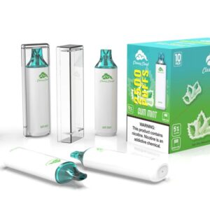 CLASSY CLOUD 2500 PUFFS GUM MINT