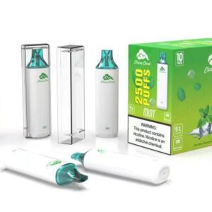 CLASSY CLOUD 2500 PUFFS MINT