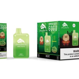 CLASSY CLOUD PRO 6000 PUFFS MINT