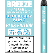 BREEZE SMOKE 800 BLUEBERRY MINT