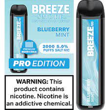 BREEZE PRO 2000 BLUEBERRY MINT