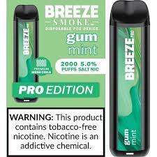 BREEZE PRO 2000 GUM MINT