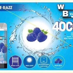 WB VAPES VCAN 4000 PUFFS BLUE RAZZ