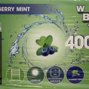 WB VAPES VCAN 4000 PUFFS BLUEBERRY MINT