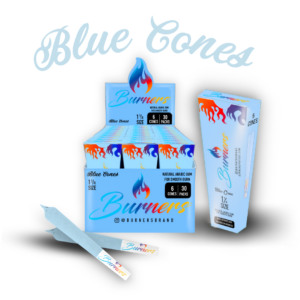 BURNERS-BLUE CONES