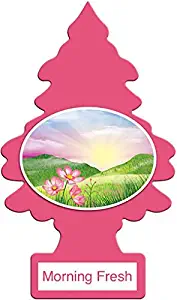 LITTLE TREES CAR FRESHENER- MORNING FRESH 24 1-PACK