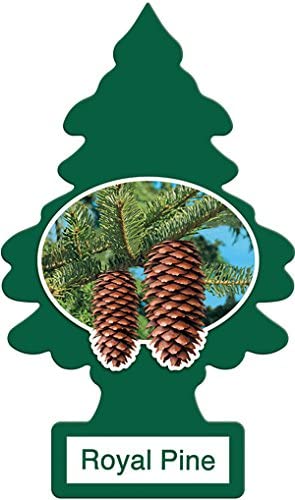 LITTLE TREES CAR FRESHENER- ROYAL PINE 24 1-PACK