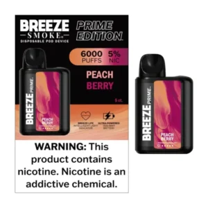 BREEZE PRIME 6000 PUFFS PEACH BERRY